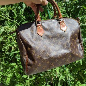 Louis Vuitton LV Hand Bag Speedy 30